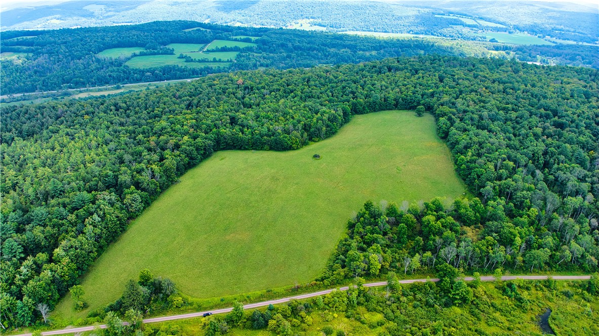 Schlafer Road Bainbridge, NY 13733 - Photo 12 of 28 Gallery Image 12