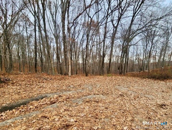 49 Cards Mill Road Columbia, CT 06237 - Photo 4 of 32