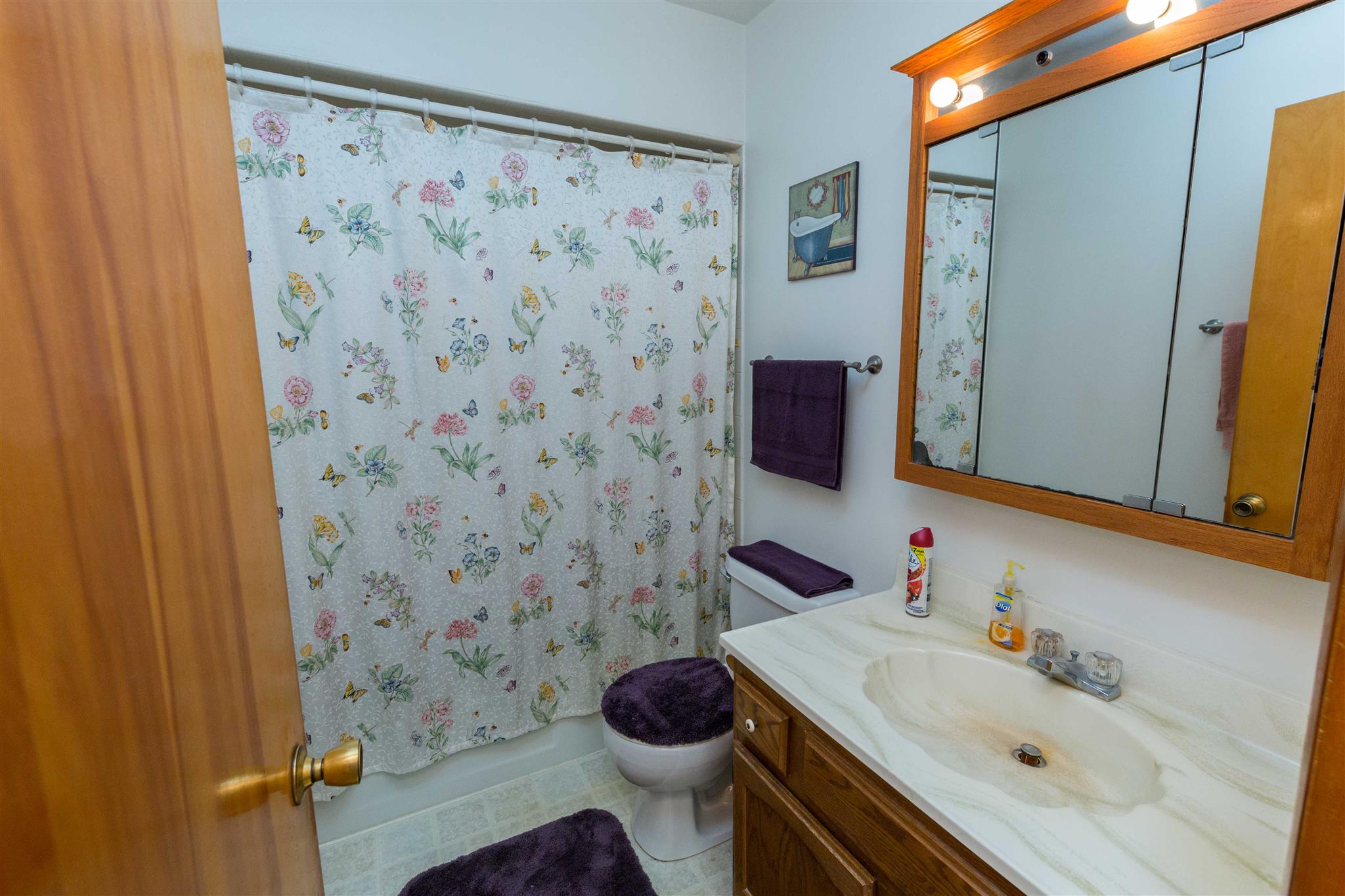 52830 Ruth Street Granger, IN 46530 - Photo 17 of 34 Gallery Image 17