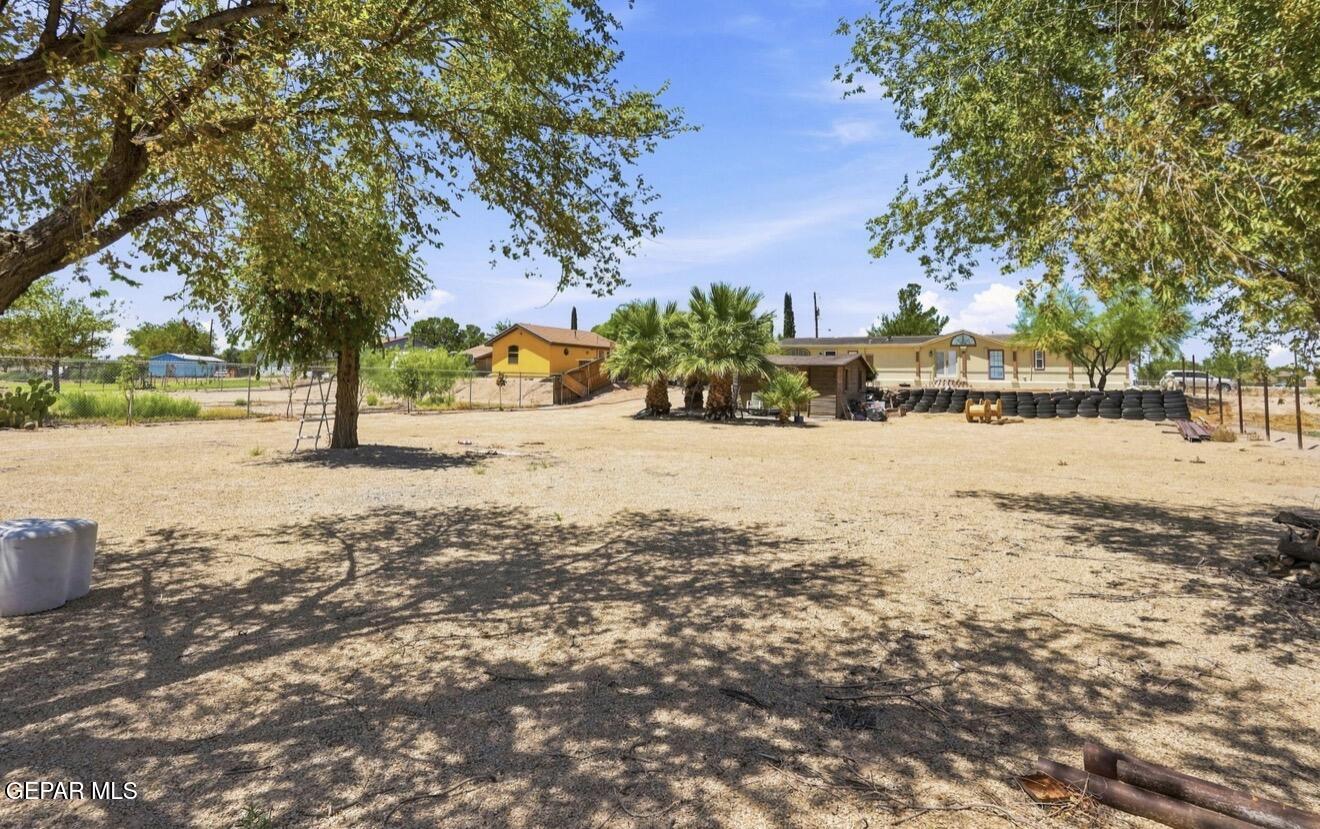 410 Carmen Ginger Road Clint, TX 79836 - Photo 32 of 33 IMG_7898