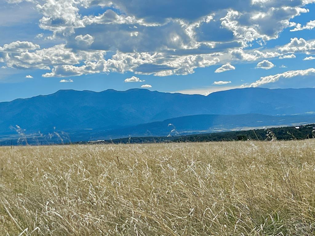 5897 Amanda Lane Rye, CO 81069 - Photo 1 of 15