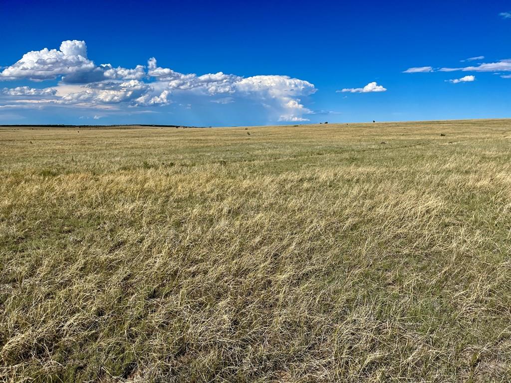 5897 Amanda Lane Rye, CO 81069 - Photo 14 of 15 a view of an ocean and a city view