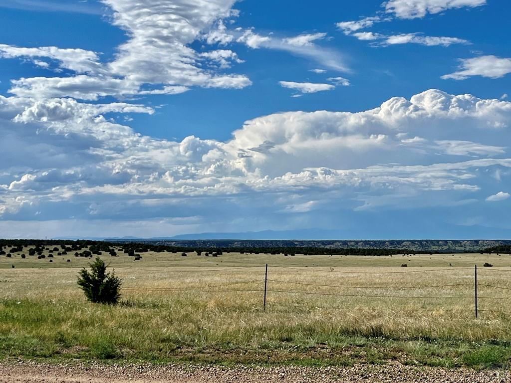 5897 Amanda Lane Rye, CO 81069 - Photo 3 of 15 a view of a dry yard