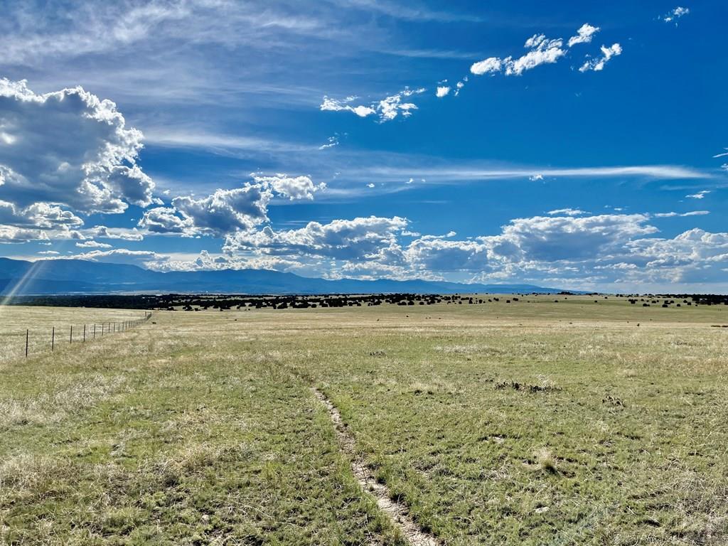 5897 Amanda Lane Rye, CO 81069 - Photo 4 of 15 a view of an ocean