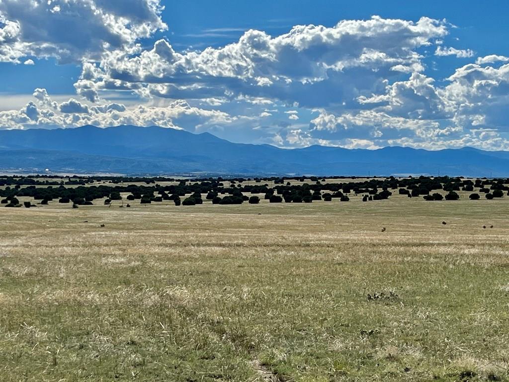 5897 Amanda Lane Rye, CO 81069 - Photo 5 of 15