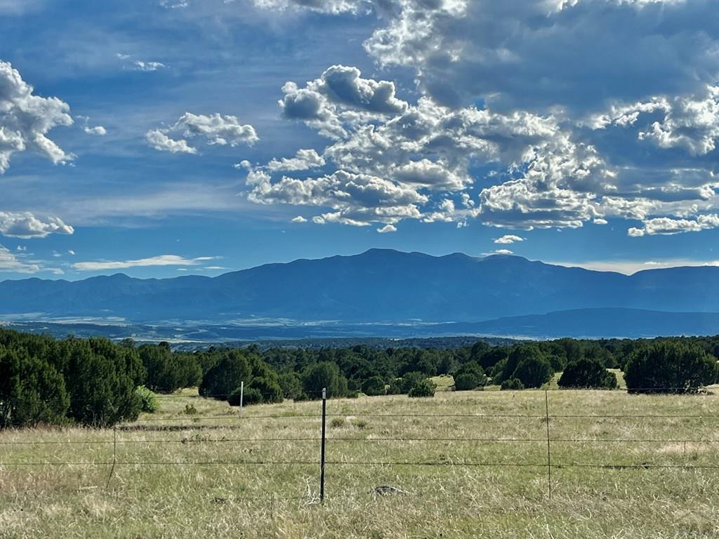 5897 Amanda Lane Rye, CO 81069 - Photo 6 of 15 a view of an outdoor space and mountain view