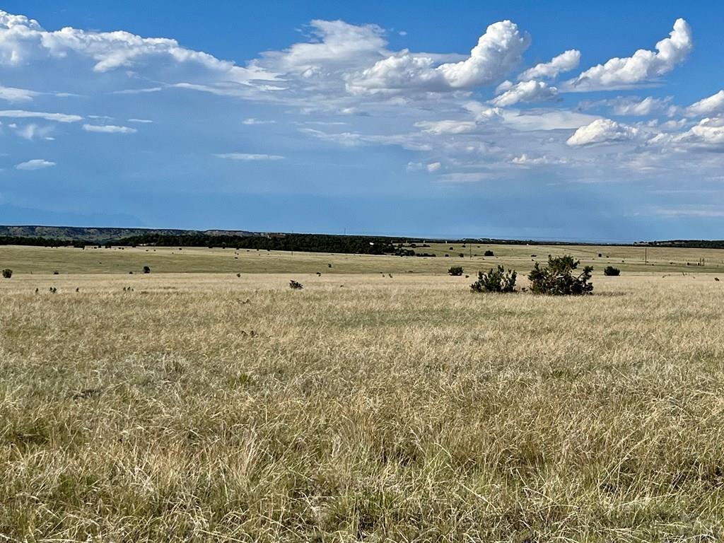 5897 Amanda Lane Rye, CO 81069 - Photo 8 of 15 a view of an ocean
