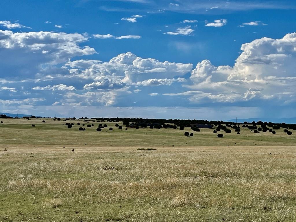 5897 Amanda Lane Rye, CO 81069 - Photo 9 of 15 a view of a city