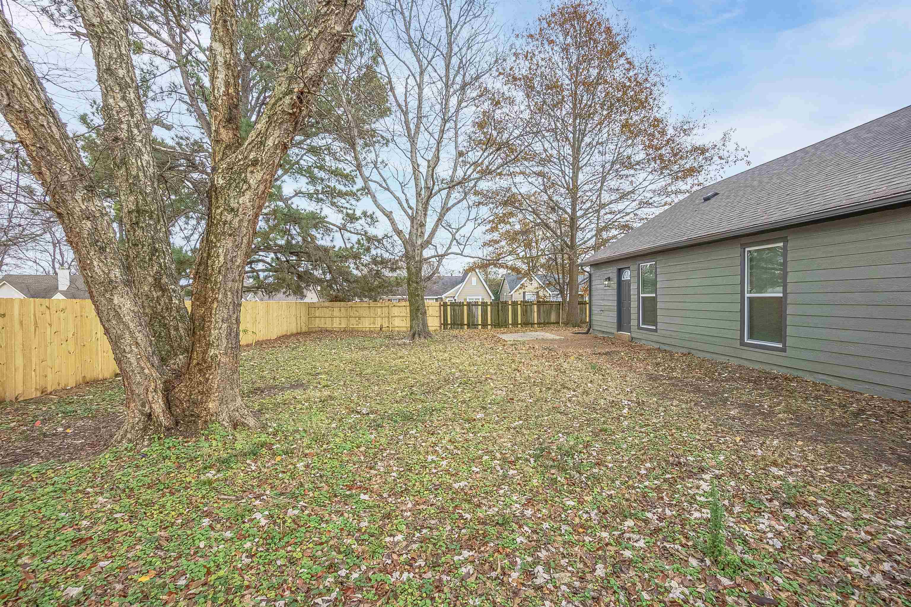 6538 Castle Ridge Cove Memphis, TN 38141 - Photo 27 of 27 View of yard