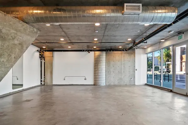 a view of a flower in a garden