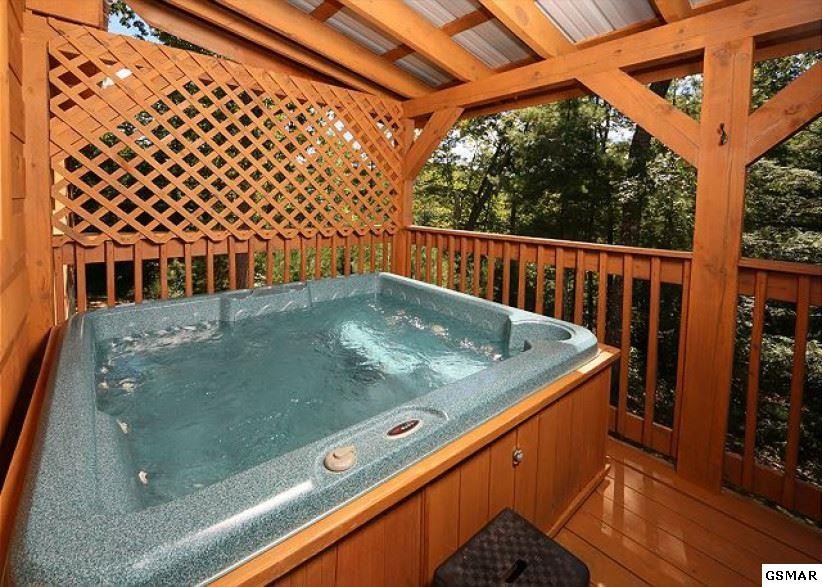 2042 Bird Ridge Road Sevierville, TN 37876 - Photo 7 of 9 Gallery Image 7