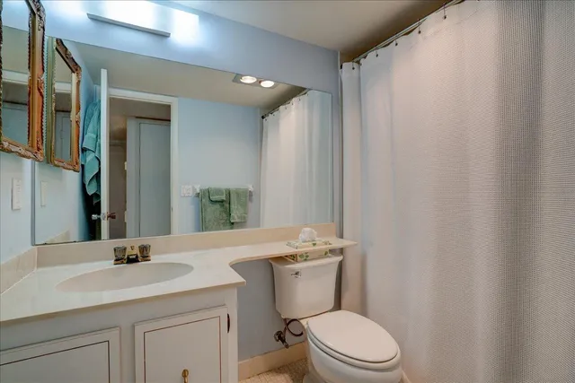 a bathroom with a sink a toilet a mirror and shower curtain