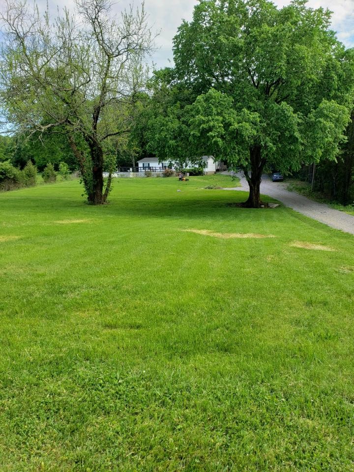 1354 Holloway Road Lebanon, TN 37090 - Photo 2 of 9 a view of yard with grass and a fountain