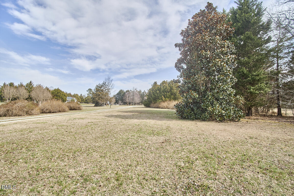 2405 Old Stone Road Hurdle Mills, NC 27541 - Photo 24 of 31 004