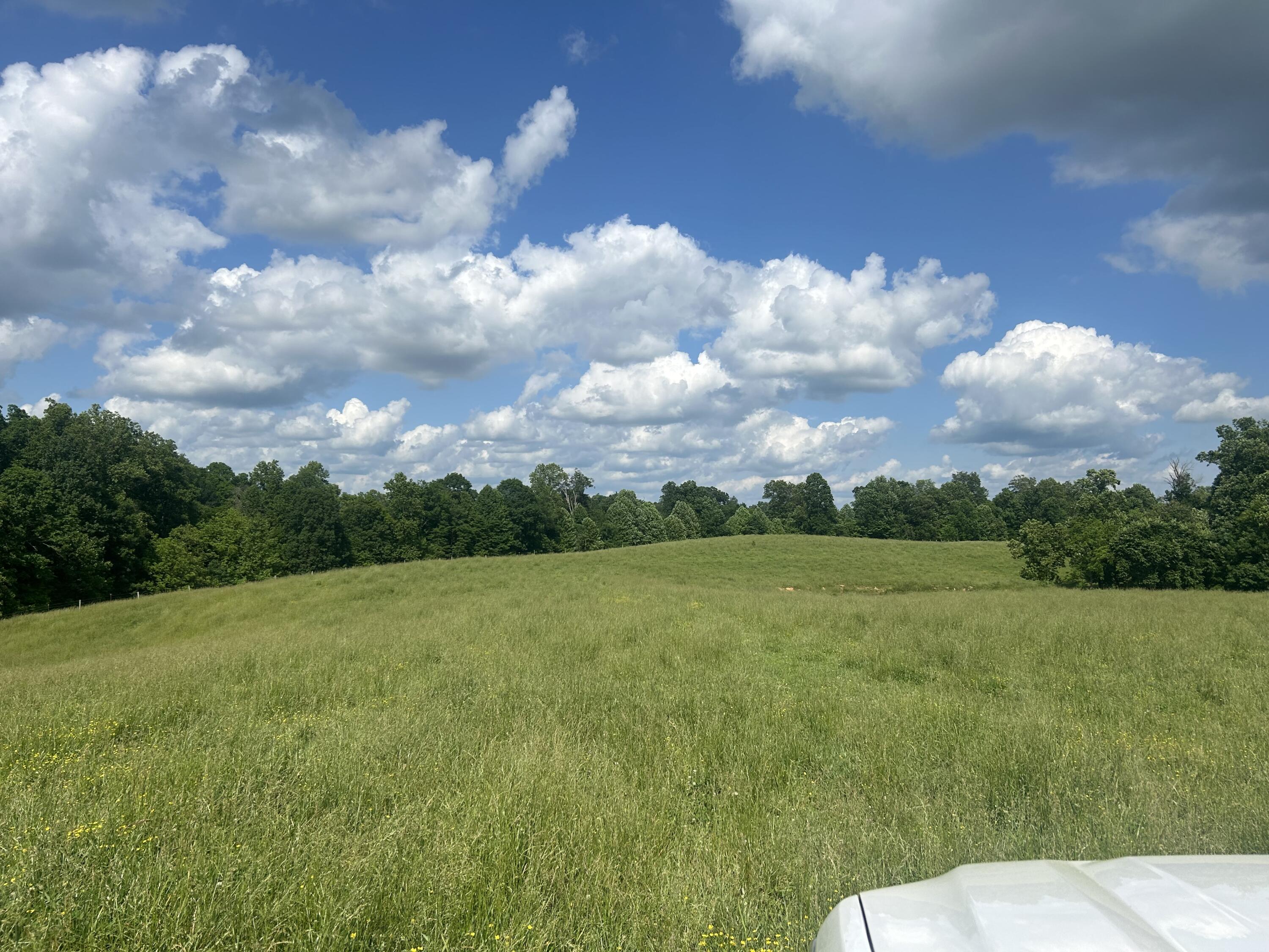 9999 Gosser Ridge Road Russell Springs, KY 42642 - Photo 8 of 42 Farm russell co 15