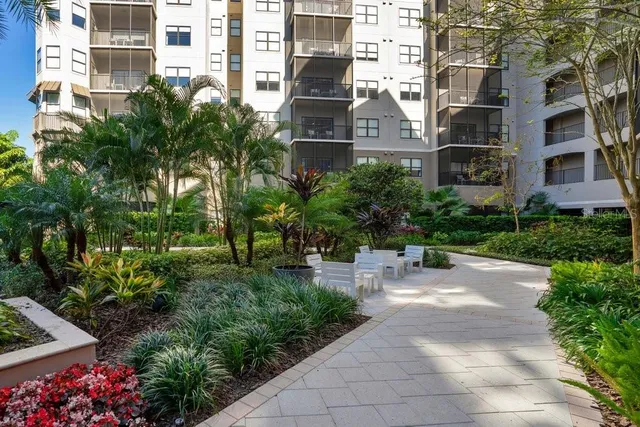 a view of a backyard with plants and palm trees