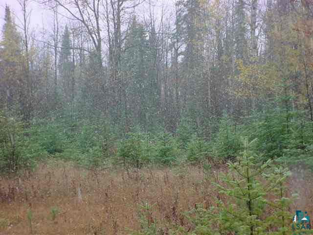 20145 Sutherland Road Mason, WI 54856 - Photo 2 of 4 Gallery Image 2