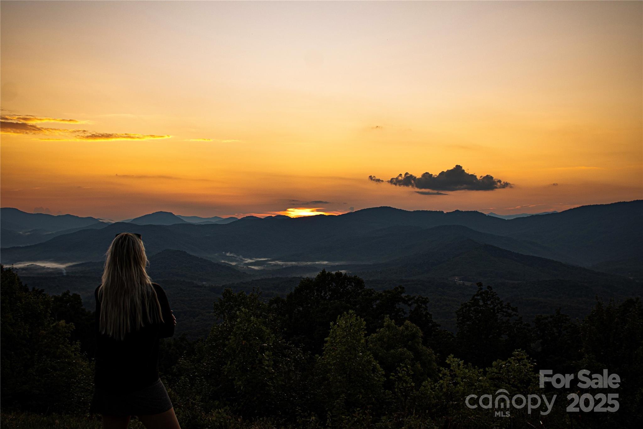 0 Shoal Ridge Union Mills, Unit 15 Union Mills, NC 28167 - Photo 12 of 29