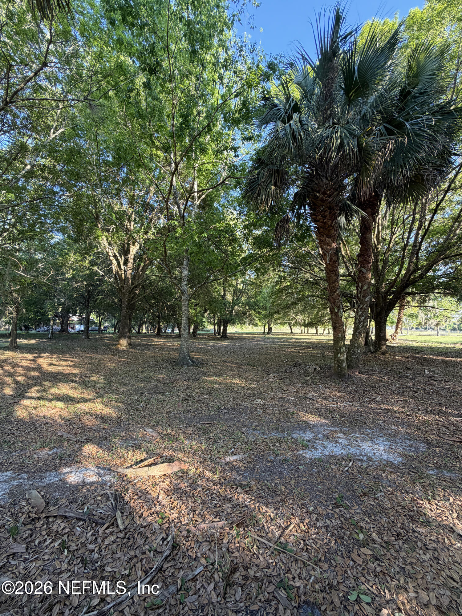 1133 Turnbull Grove Road Oak Hill, FL 32759 - Photo 11 of 14 a view of outdoor space with trees