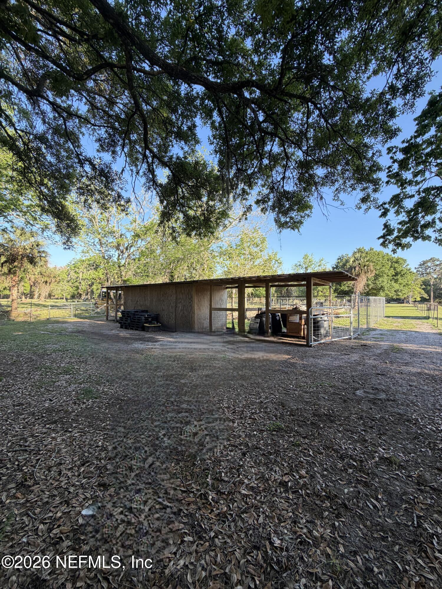 1133 Turnbull Grove Road Oak Hill, FL 32759 - Photo 5 of 14 a view of a yard with large tree