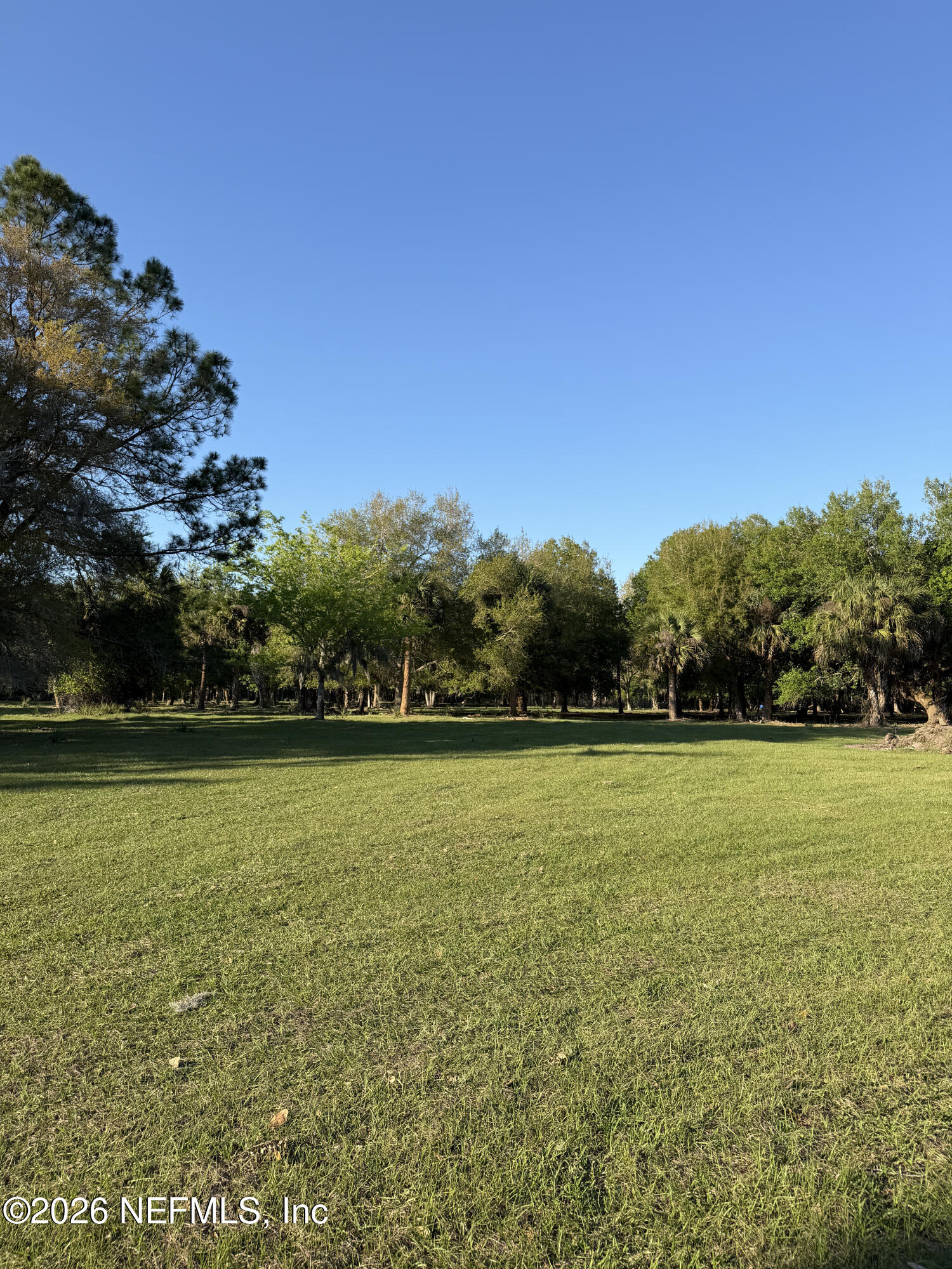 1133 Turnbull Grove Road Oak Hill, FL 32759 - Photo 8 of 14 a view of a field with an ocean