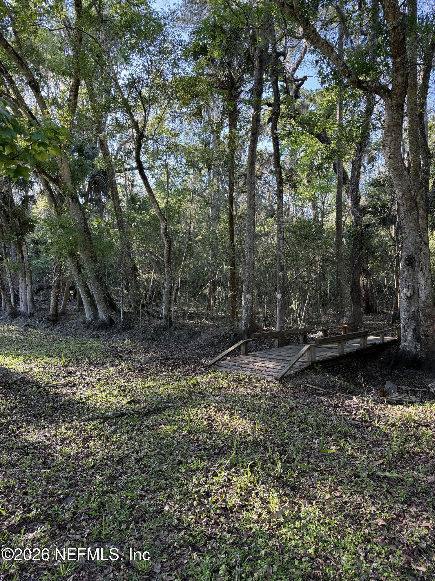 1133 Turnbull Grove Road Oak Hill, FL 32759 - Photo 9 of 14 a backyard of a house with lots of green space