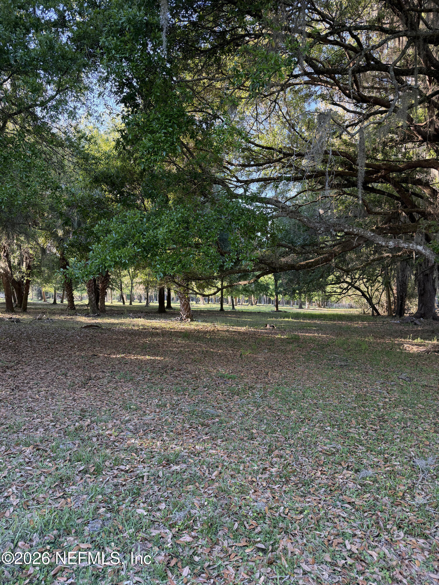 1133 Turnbull Grove Road Oak Hill, FL 32759 - Photo 10 of 14 a view of green field