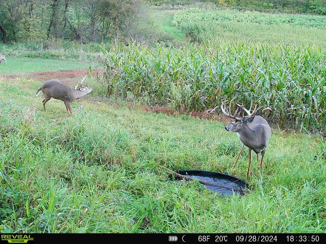 $775,000 | 13376 Quarry Drive, Richland Center, WI 53581