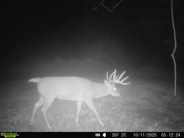 $775,000 | 13376 Quarry Drive, Richland Center, WI 53581