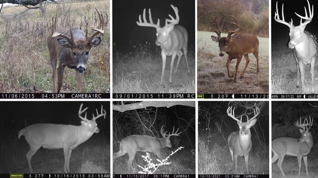 $775,000 | 13376 Quarry Drive, Richland Center, WI 53581