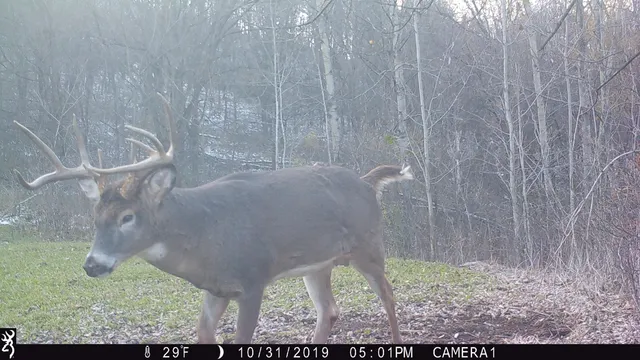 $775,000 | 13376 Quarry Drive, Richland Center, WI 53581