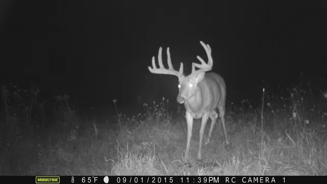 $775,000 | 13376 Quarry Drive, Richland Center, WI 53581