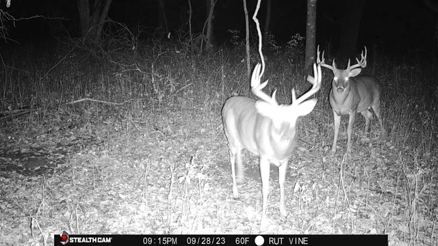 $775,000 | 13376 Quarry Drive, Richland Center, WI 53581