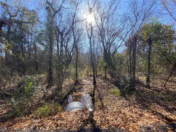 a view of yard and trees