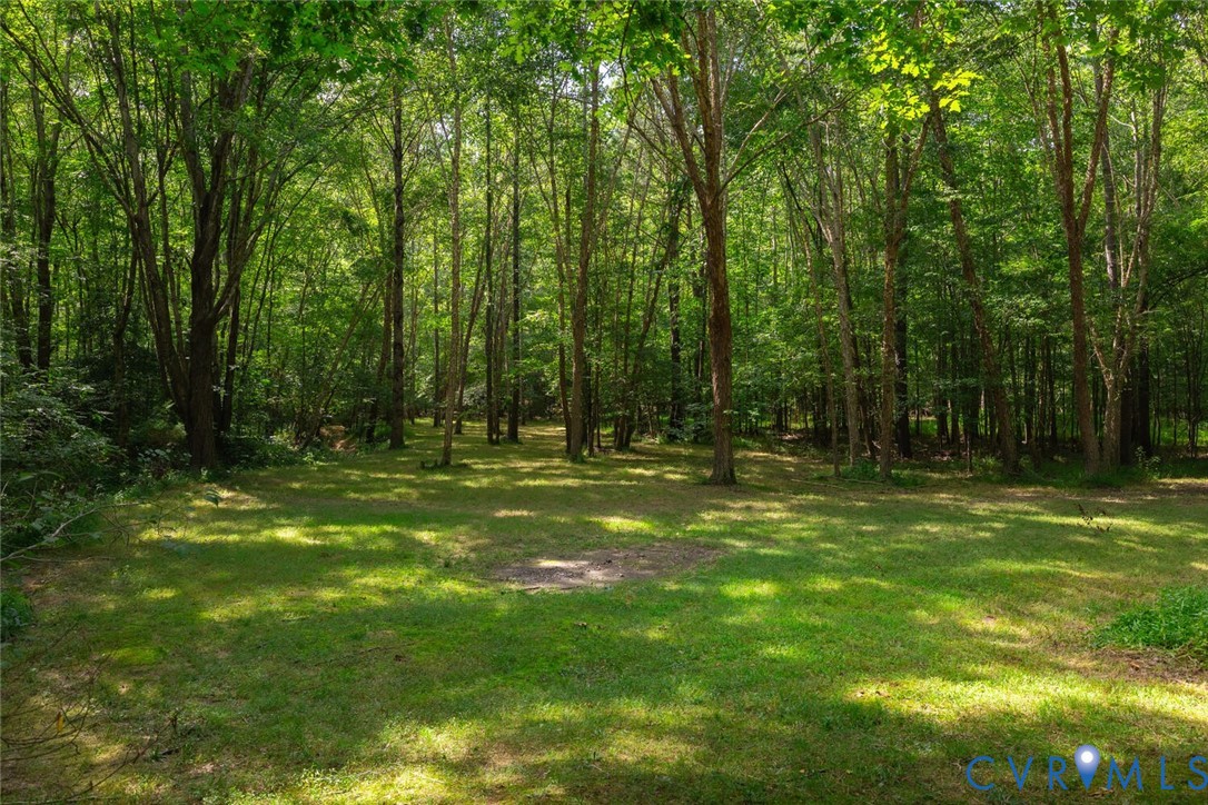959 Manakin Road Midlothian, VA 23113 - Photo 42 of 50 Gallery Image 42