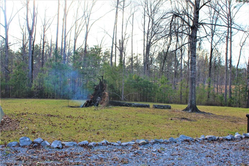 520 Cutts Road Otis, LA 71466 - Photo 9 of 31 Gallery Image 9