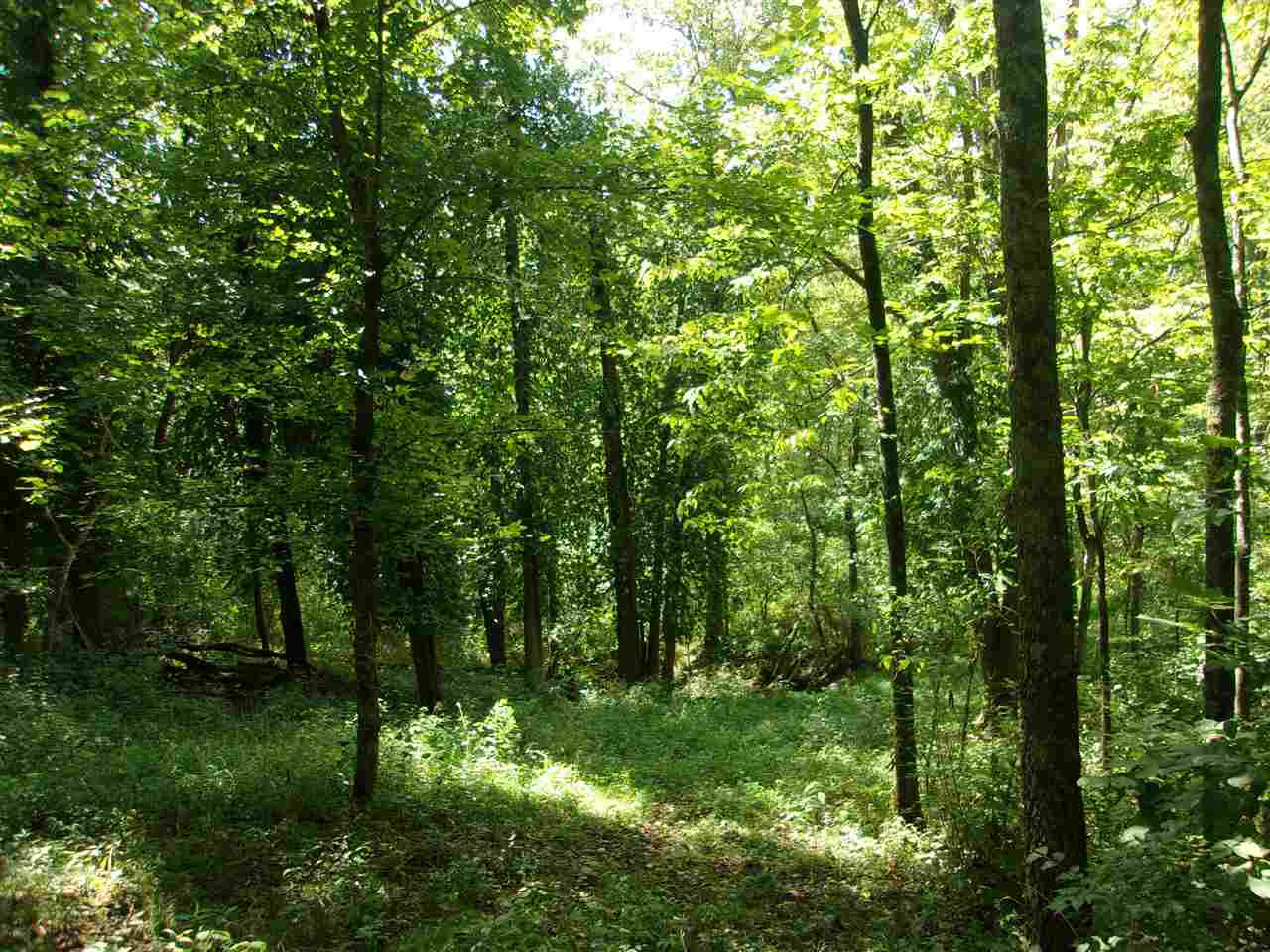 30-acres Dover Road Augusta, KY 41002 - Photo 30 of 50 Gallery Image 30