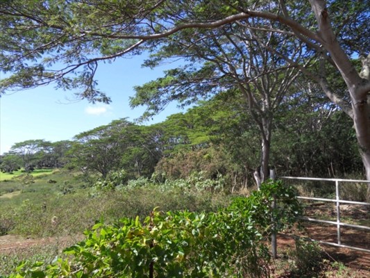 Maluhia Road Koloa, HI 96756 - Photo 1 of 1 a view of a backyard