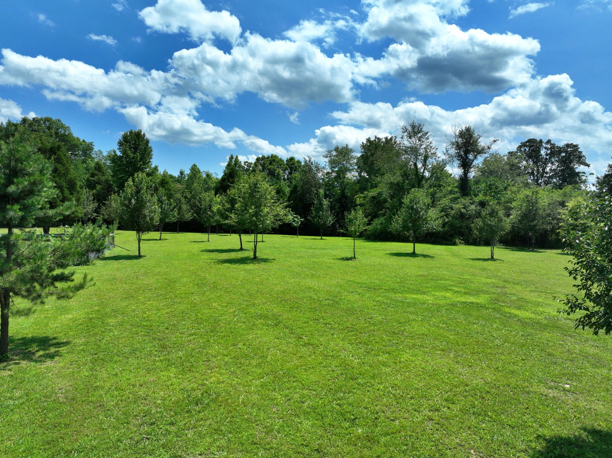5858 Wolf Creek Road Spring City, TN 37381 - Photo 4 of 76