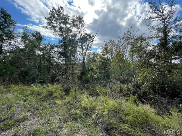 $29,900 | 13 Woodland Heights West, Poplar Bluff, MO 63901