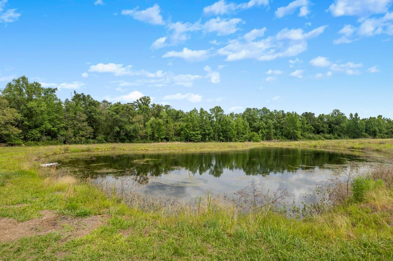1590 Tyson Road Monticello, FL 32344 - Photo 53 of 56