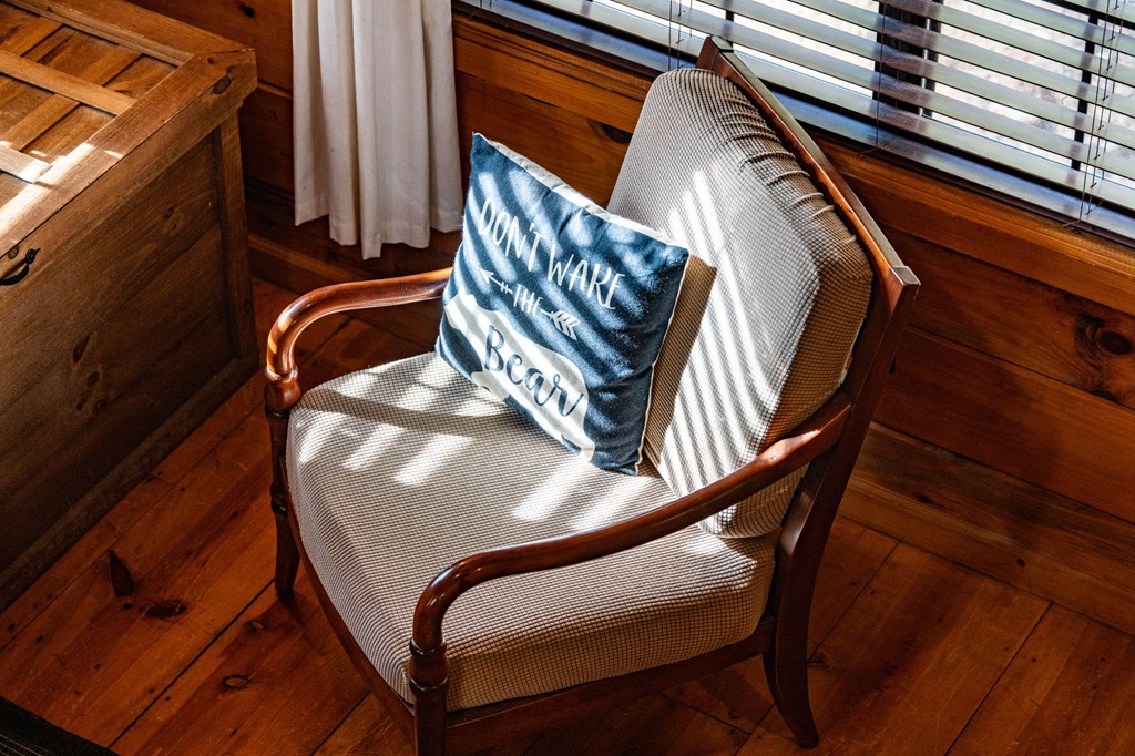 986 Joann Sisson Road Blue Ridge, GA 30513 - Photo 30 of 53 Gallery Image 30