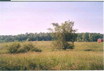 5195 Sullivan Road Lapeer, MI 48446 - Photo 4 of 7 20281993-3.JPG