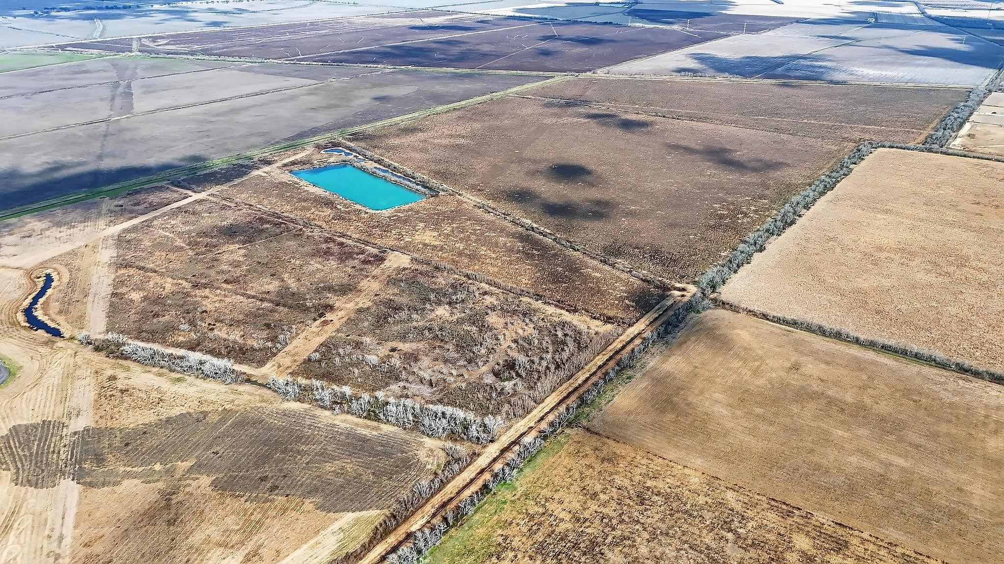 49 County Road 49 Angleton, TX 77515 - Photo 6 of 20 a view of a backyard