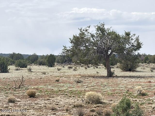 595 Ravens Rest Seligman, AZ 86337 - Photo 11 of 22 a view of a snow on the beach
