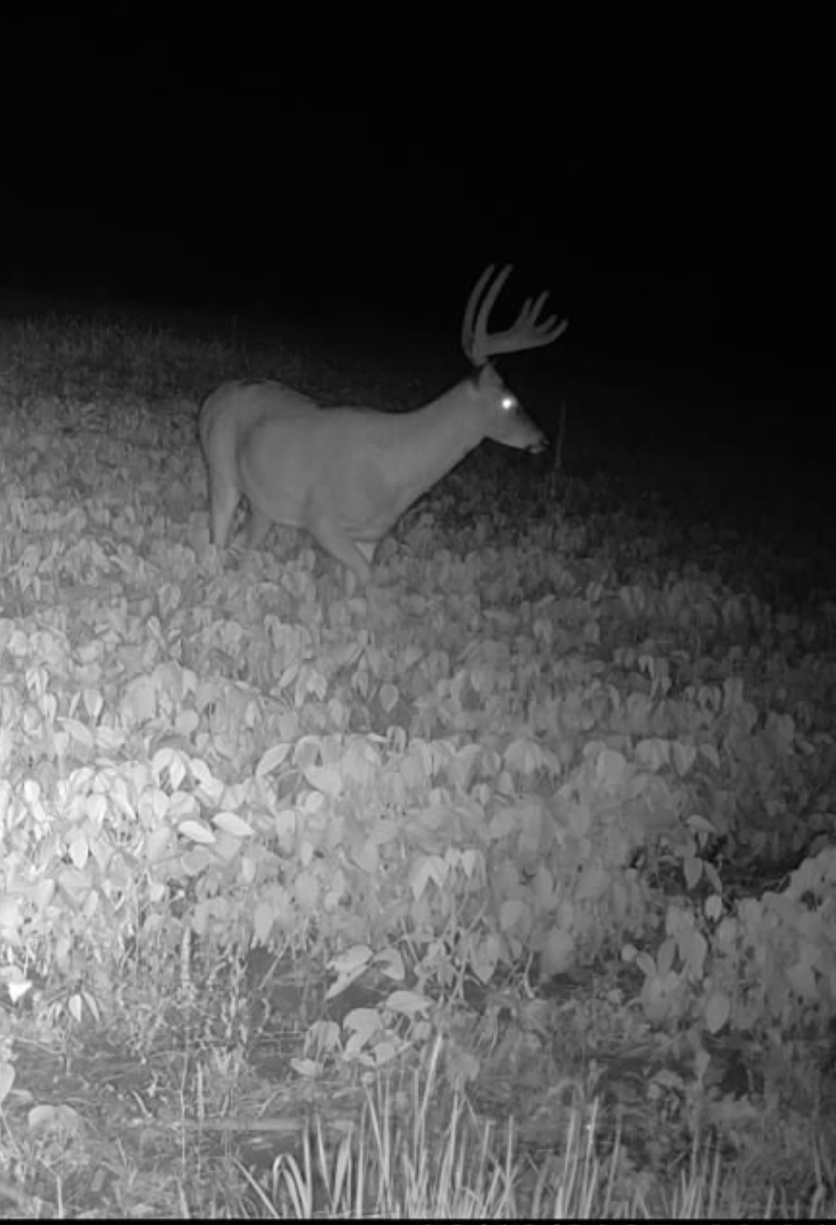 N8771 Fye Road Trego, WI 54888 - Photo 27 of 47