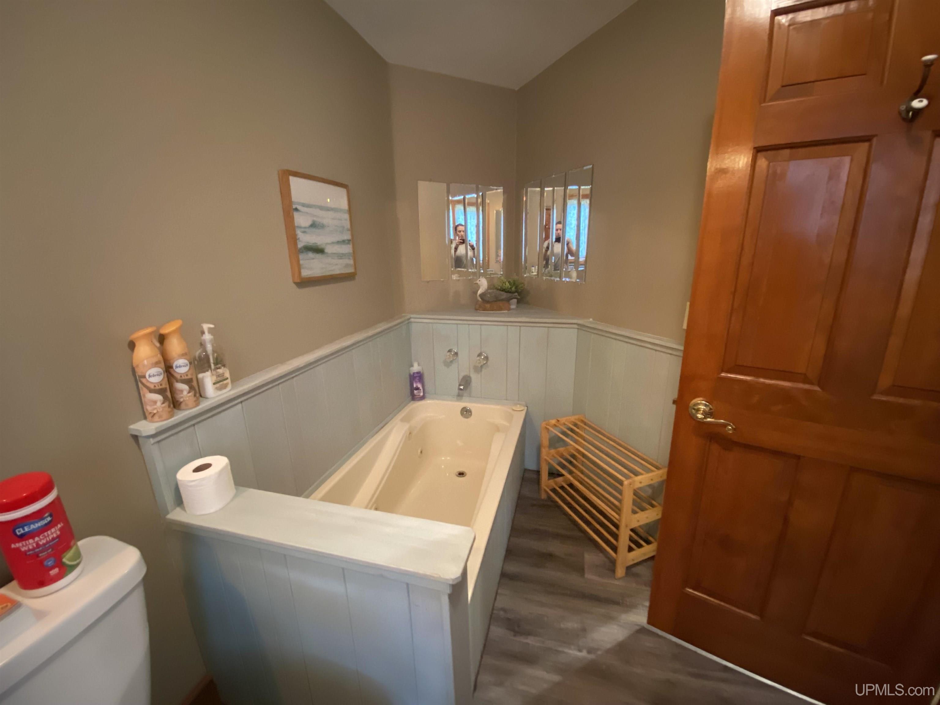 503 Sandy Beach Road Marenisco, MI 49947 - Photo 6 of 22 Gallery Image 6