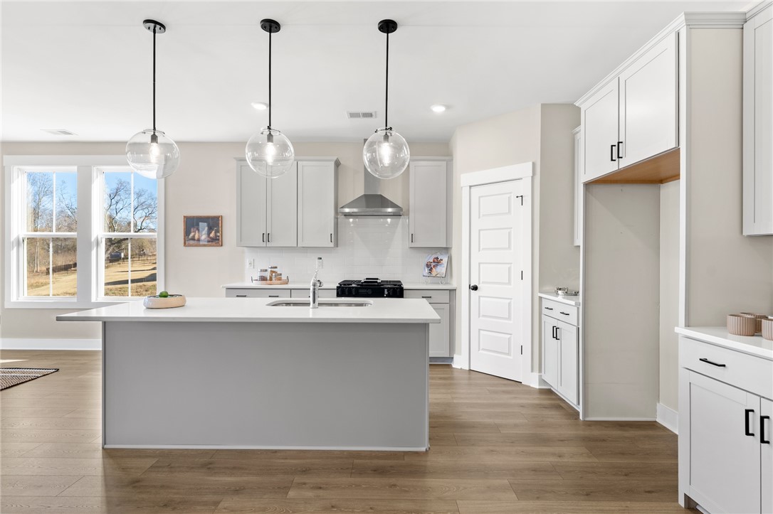 3401 Split Oak Circle Seneca, SC 29678 - Photo 4 of 8 This bright kitchen features a functional island and modern appliances, perfect for everyday living.