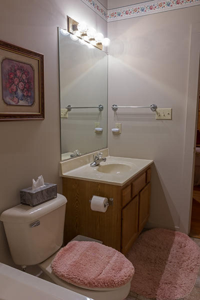 414 Laurel Trace Road Townsend, TN 37882 - Photo 13 of 15 Master Bath