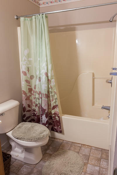 414 Laurel Trace Road Townsend, TN 37882 - Photo 14 of 15 Bathroom 2